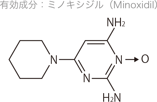有効成分：ミノキシジル（Minoxidil）